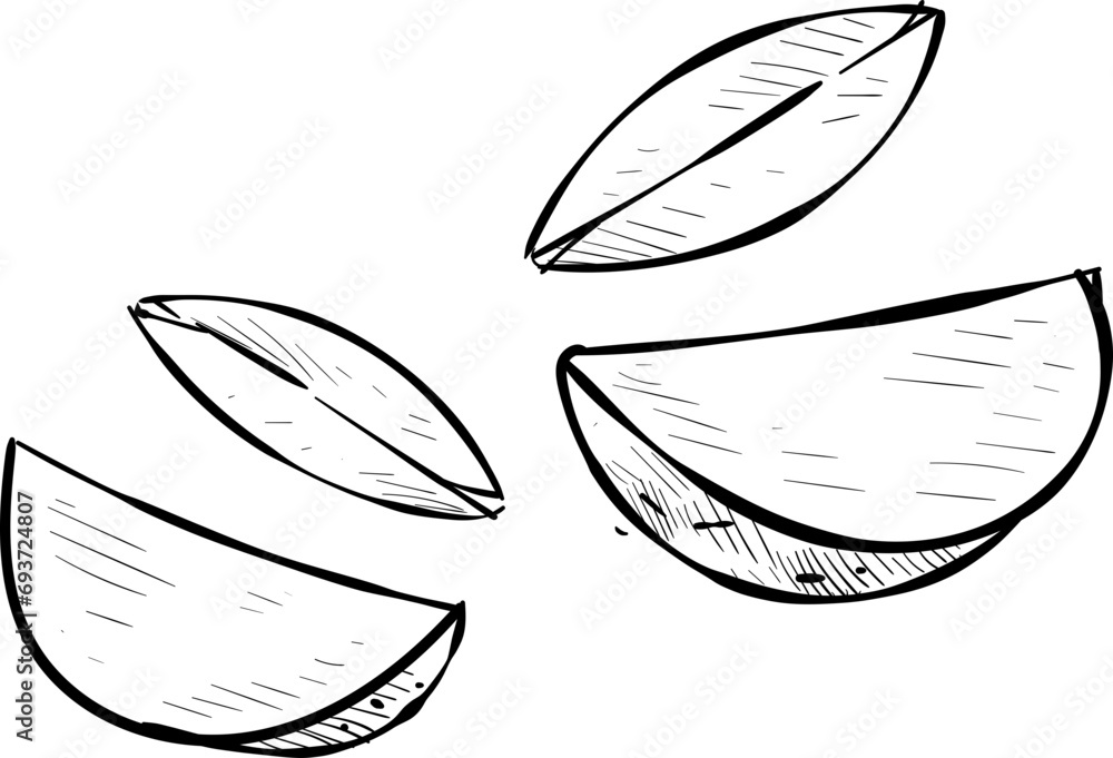 potatoes handdrawn illustration potatoes handdrawn illustration