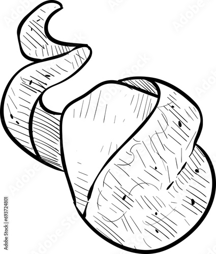 potatoes handdrawn illustration
