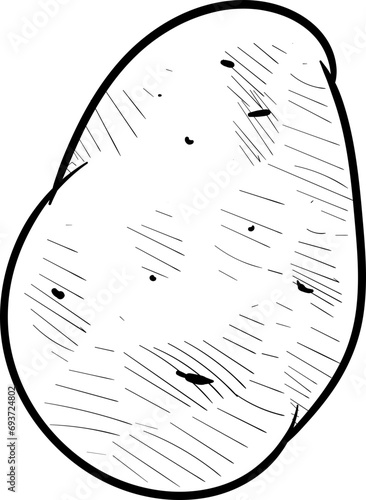 potatoes handdrawn illustration