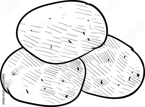 potatoes handdrawn illustration