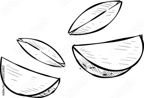 potatoes handdrawn illustration