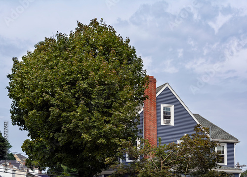 Two-Story house with a a tall leafy tree in front, Brighton, MA, USA © Baharlou