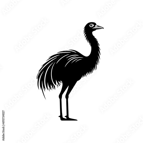 Ostrich Vector