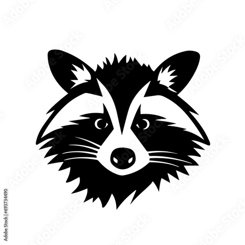 Fototapeta Naklejka Na Ścianę i Meble -  Raccoon Vector
