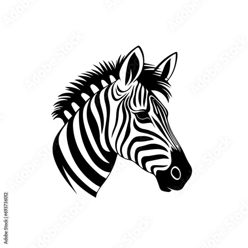 Zebra Vector © Matthew