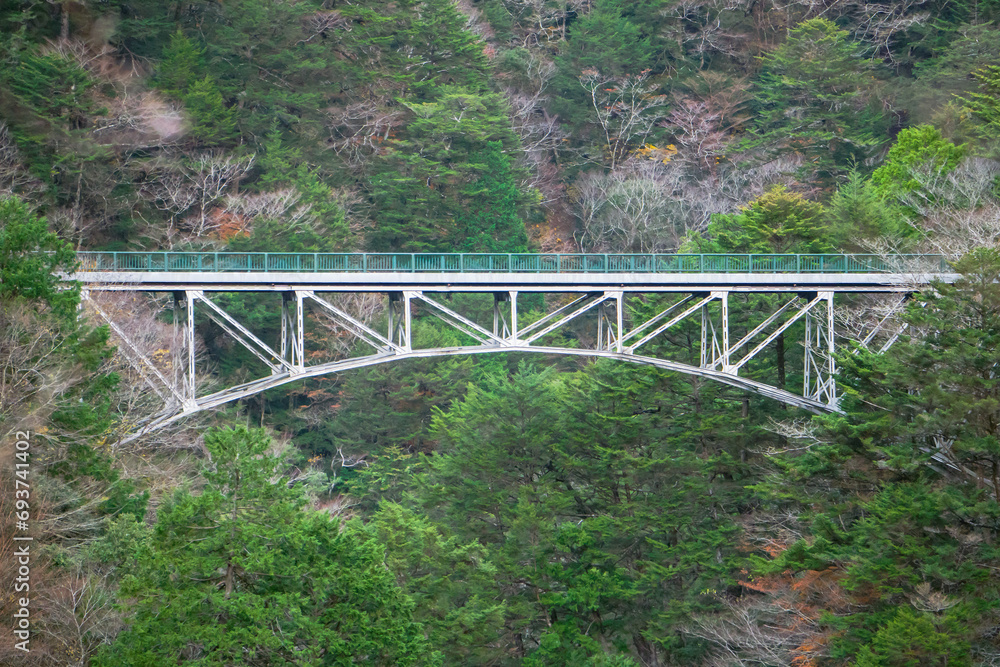 寸又峡「飛龍橋」・トロッコ列車の線路跡／日本静岡県