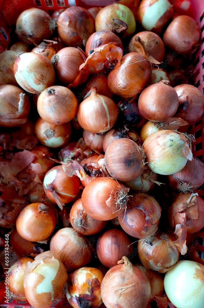 Obraz premium Onions are an import and export commodity