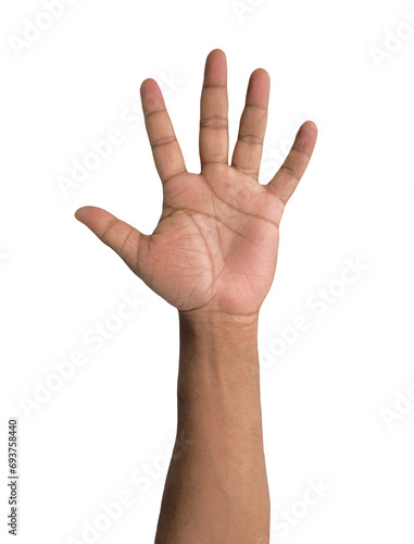 Transparent PNG of a human hand