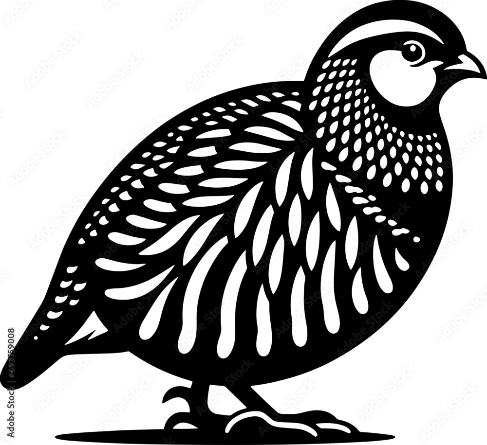 Obraz premium Partridge icon 14