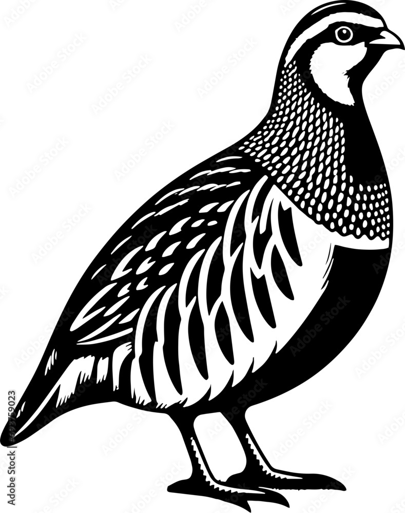 Obraz premium Partridge icon 8