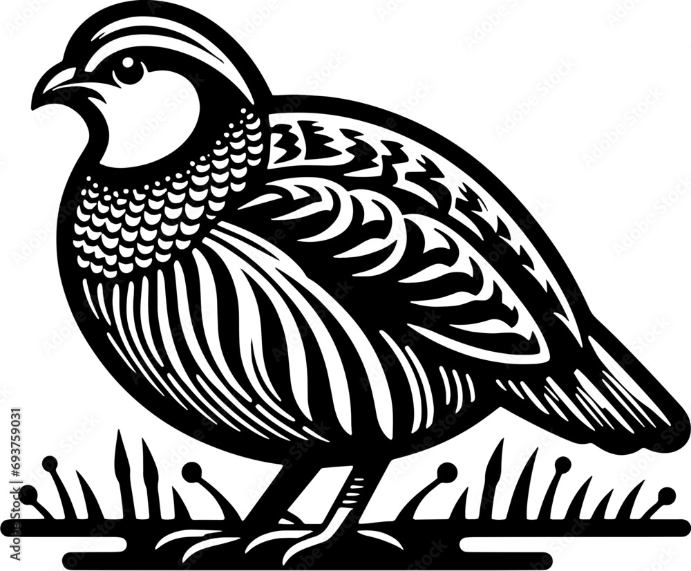 Fototapeta premium Partridge icon 7