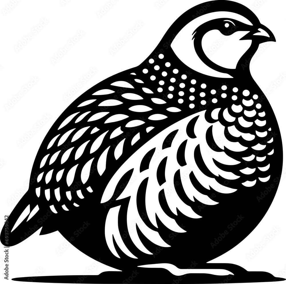 Obraz premium Partridge icon 3