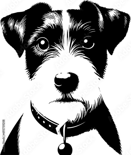 Fotografie Parson Russell Terrier icon 4