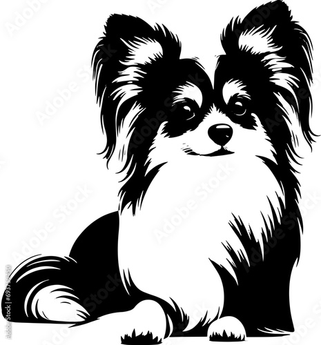 Papillon Mix icon 14