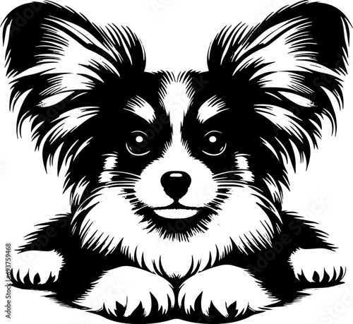 Papillon icon 2