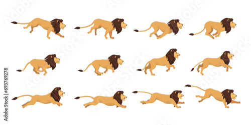 Lion Run Cycle 2d Animation Reference High Quality Customizable Vector Illustration © Rubel
