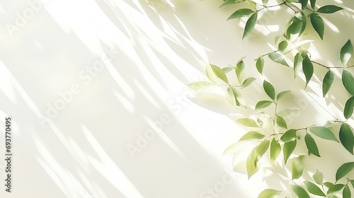 A blurred shadow of green plants on a white wall. Minimal abstract background.