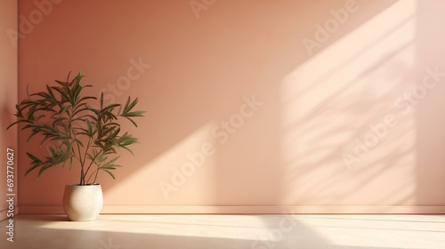 The interior of the house with an empty peach wall  a flower pot  and light from the window. A sunny day