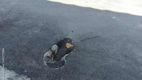Cat yellow liquid poop on street with flies photo