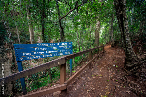 Walking track through the forest in Bunya Mountains National Park, Queensland, Australia photo