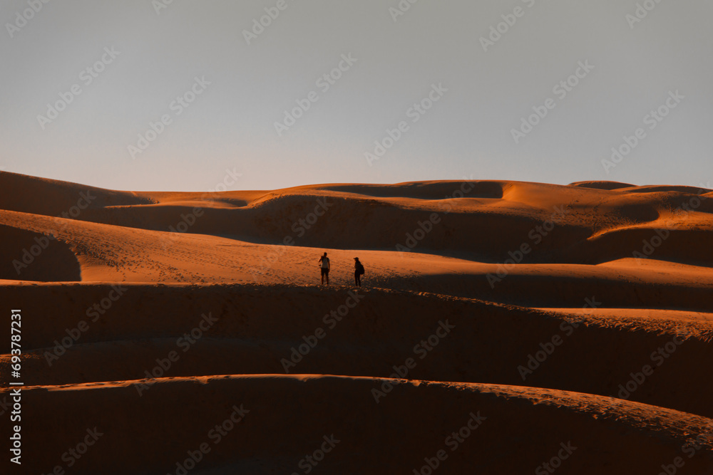 couple walking on sunset in the desert