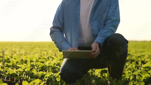 Agriculture farmer work hand digital tablet. germ sprouts field. agricultural engineer ensures continuous most efficient operation agricultural equipment machinery equipment. concept farm productivity