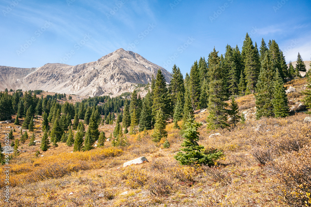 Fototapeta premium Classic mountain landscape in Colorado