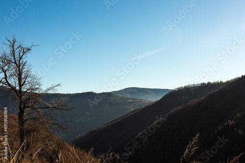 Landscape with hills, forest and empry sky photo