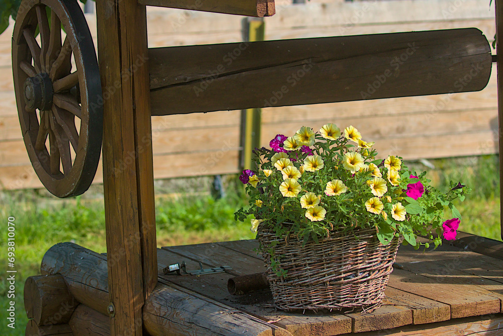 A bright bouquet of fresh flowers in a wicker basket stands on a rustic wooden well. The idea for landscaping and landscaping of the territory. Landscaping panorama of home garden.