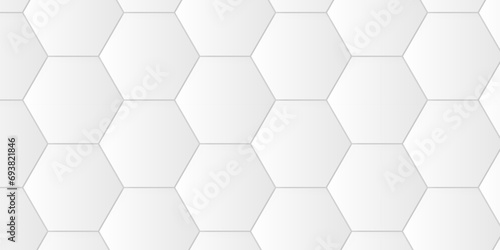 Modern hexagons White Hexagonal Background. Luxury honeycomb grid White Pattern. Vector Illustration. 3D Futuristic abstract honeycomb mosaic white background. geometric mesh cell texture.