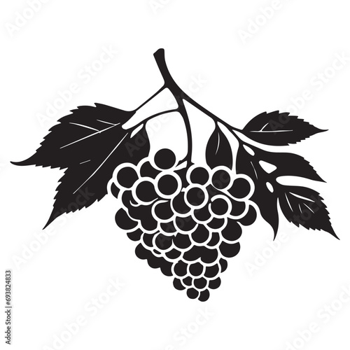 Grapes silhouettes and icons. Black flat color simple elegant white background Grapes vegetable vector and illustration.