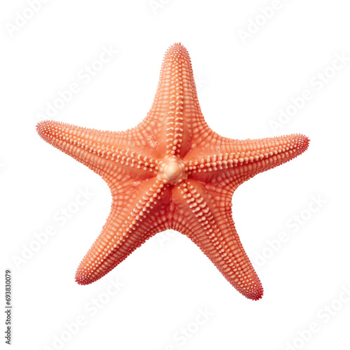 Elegant Starfish Isolated on Transparent Background