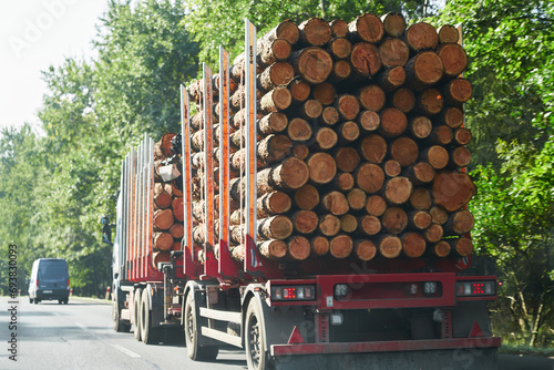 Side view of a truck with wooden logs cargo on the highway. Timber wood delivery and processing. Forestry concept.