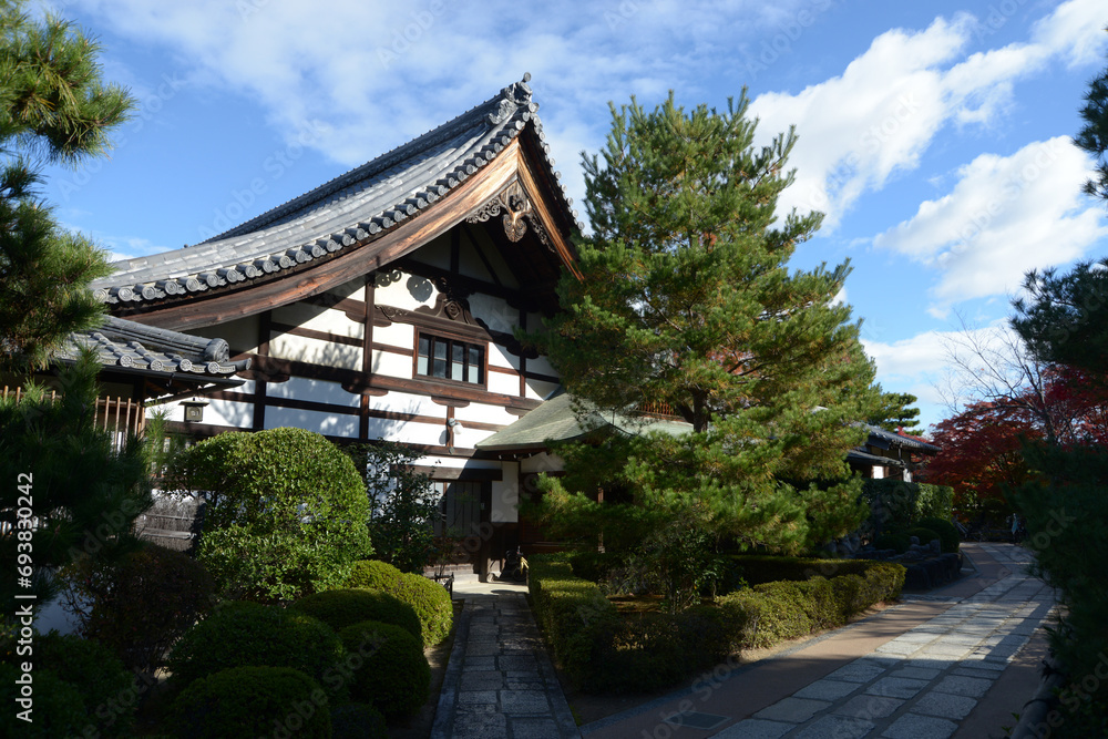 秋の妙心寺 智勝院の境内 京都市右京区花園 秋の妙心寺 智勝院の境内 京都市右京区花園