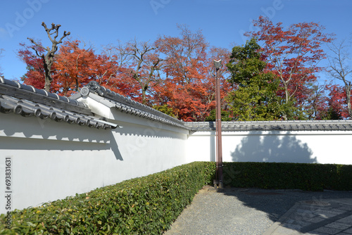 秋の妙心寺　蟠桃院の土塀と紅葉　京都市右京区花園
