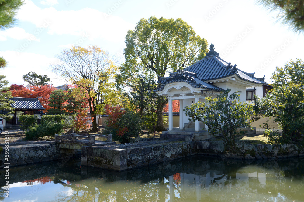 Fototapeta premium 秋の妙心寺 蓮池 京都市右京区花園