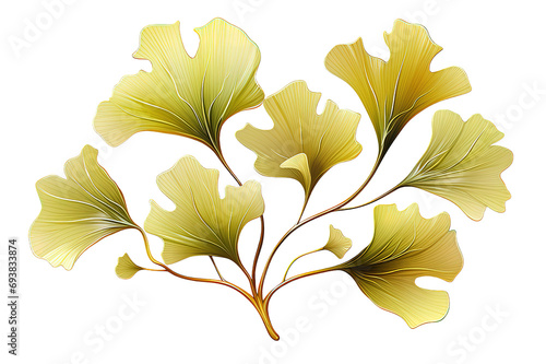 Watercolor gingko leaves set isolated on PNG Background. Generative Ai. photo