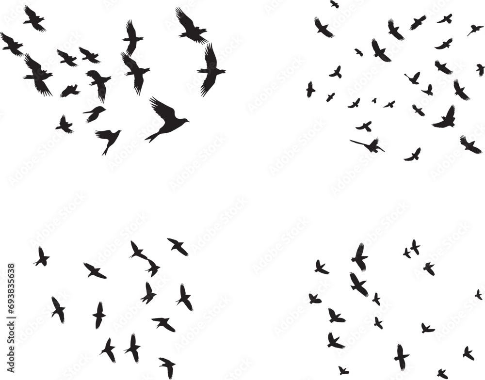 flock of birds flying silhouetted on white background. - obrazy, fototapety, plakaty 