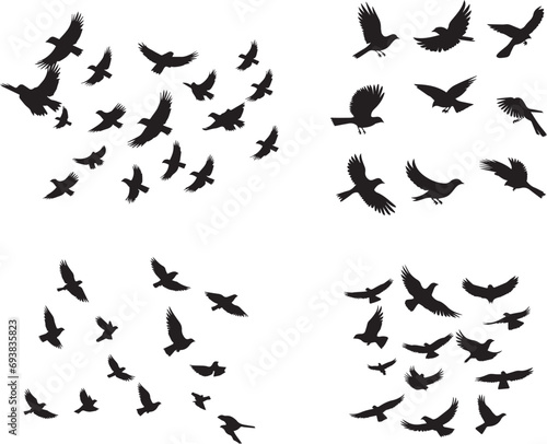 flock of birds flying silhouetted on white background.