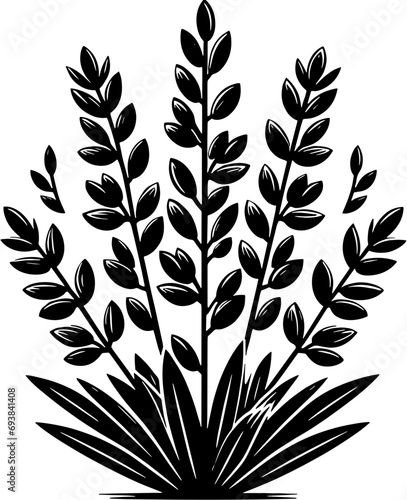 Combretaceae plant icon 2