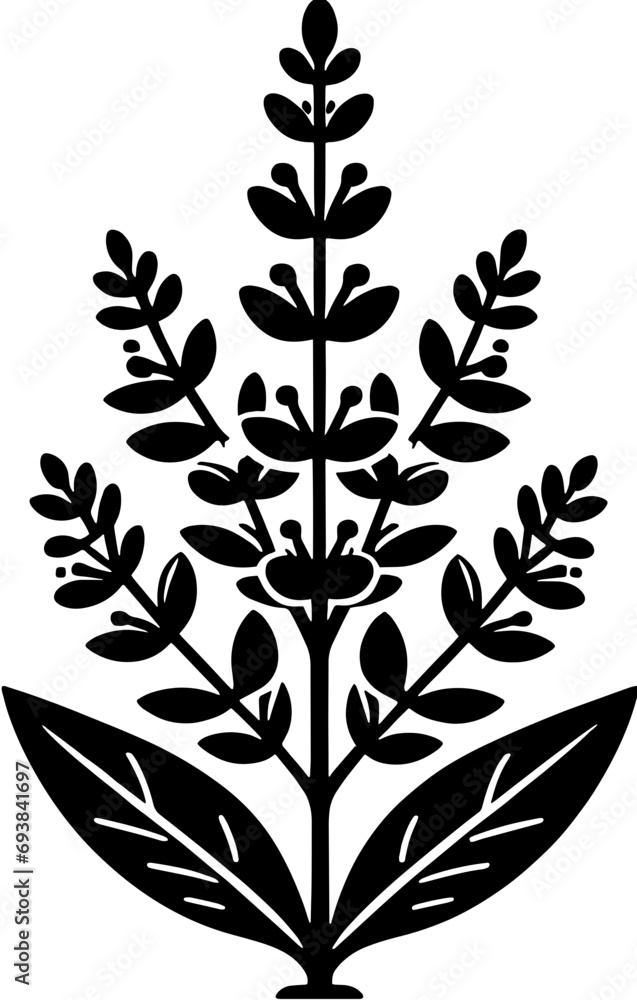 Clethraceae plant icon 15 Clethraceae plant icon 15