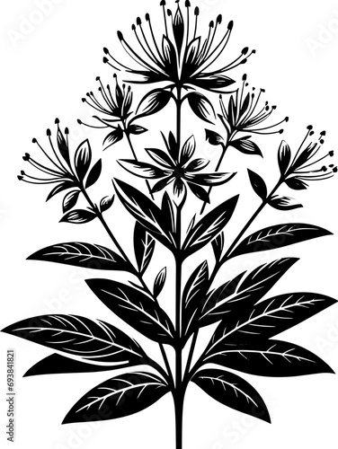 Cleomaceae plant icon 15