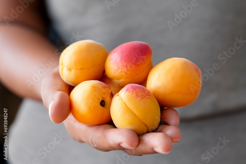 fresh fruits. on a woman's hand lies a large pile of apricots, a fruit composition, a girl in a gray T-shirt