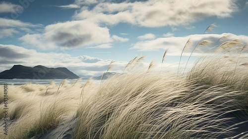 icelandic_grass_in_beach_windy_day