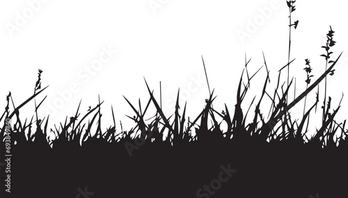 Natural grass silhouettes on white background