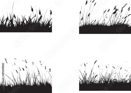 Natural grass silhouettes on white background