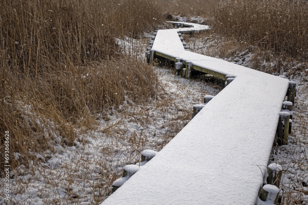 Obraz premium 눈 내린 슾지 길