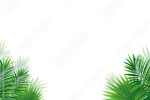 tropical frame vector. Green tropic card with rainforest plants and leaves. Amazon foliage promo banner. fresh idea for travel cover  advertising card  summer holidays  party designs