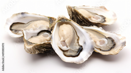 Fresh raw oysters
