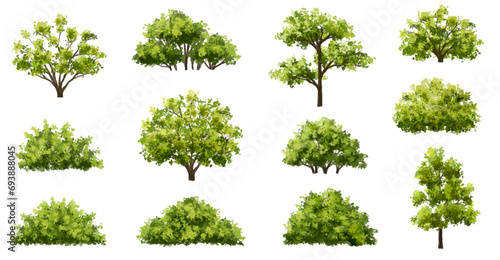 Vertor set of green tree plants side view for landscape elevations element for backdrop eco environment concept design watercolor greenery scene